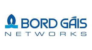 Bord Gais Logo for website